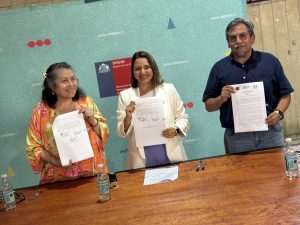 Barrio Autoconstrucción de Valdivia asegura sus primeras obras viales con nueva iluminación y veredas