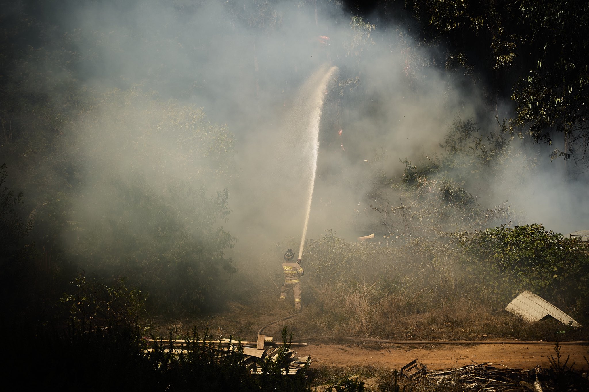 Amplio despliegue aéreo y terrestre por incendio en Villa Austral de Valdivia