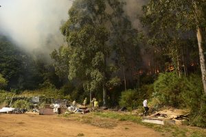Incendio forestal en el cerro Kunstmann de Valdivia amenaza a viviendas del sector