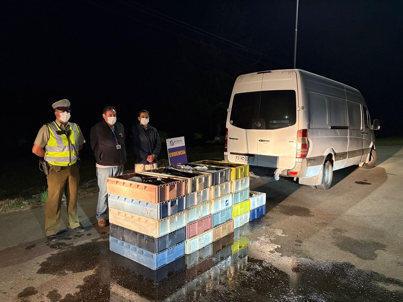 Incautan más de una tonelada de merluza austral sin documentación en control carretero en Paillaco