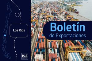 Alerta económica en Los Ríos: Exportaciones se cayeron a menos de la mitad en el cierre de 2025