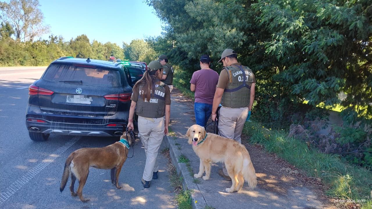 OS7 refuerza su ofensiva antidrogas en Valdivia con dos nuevos perros detectores