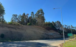 Fiscalía ordena investigar origen de incendio forestal en cerro Kunstmann de Valdivia