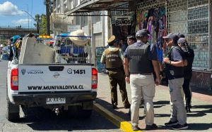 Más de 90 citaciones por comercio ambulante no autorizado tras fiscalizaciones de verano en Valdivia