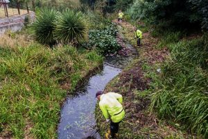 Refuerzan limpieza de canales y cauces para prevenir inundaciones en Valdivia