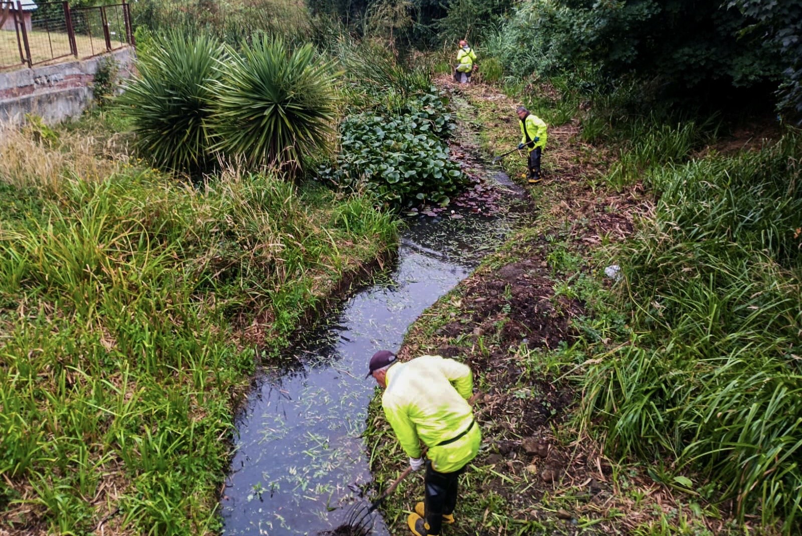 Refuerzan limpieza de canales y cauces para prevenir inundaciones en Valdivia