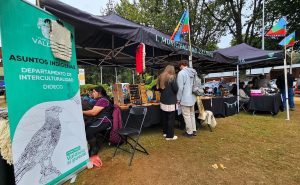 Punucapa celebrará el Día de la Lengua Materna con teatro, mapudungun y música en vivo