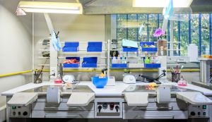 Valdivia reduce en 70% lista de espera tras dos años de funcionamiento de Laboratorio Dental Municipal