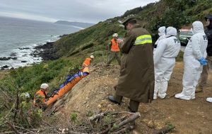 Reprograman para agosto juicio por homicidio de Ariel Alexis Millar en Valdivia