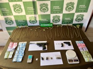 Allanan dos casas en población Menzel: Tres detenidos y plantas de cannabis incautadas