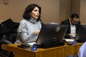 Senadora Gatica solicita patrocinio del Gobierno para proyecto que sanciona a padres por bullying escolar