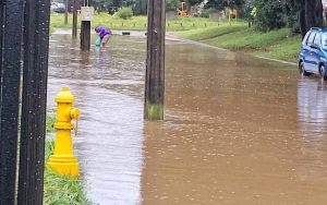 Anegamientos afectan a varios sectores de Valdivia y vecinos alertan riesgo de agua en viviendas