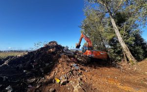 Humedal de Valdivia revive tras retiro de más de 1.700 toneladas de basura en Las Mulatas