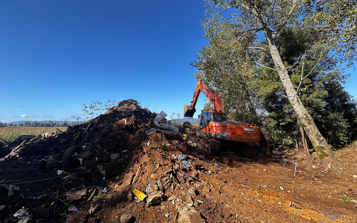 Humedal de Valdivia revive tras retiro de más de 1.700 toneladas de basura en Las Mulatas