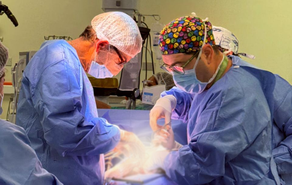 Hospital Base Valdivia concretó dos procuramientos de órganos y cinco personas recibieron trasplantes