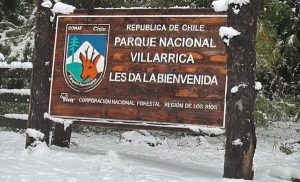 Encuentran a hombres que habían desaparecido en el Parque Nacional Villarrica en Panguipulli