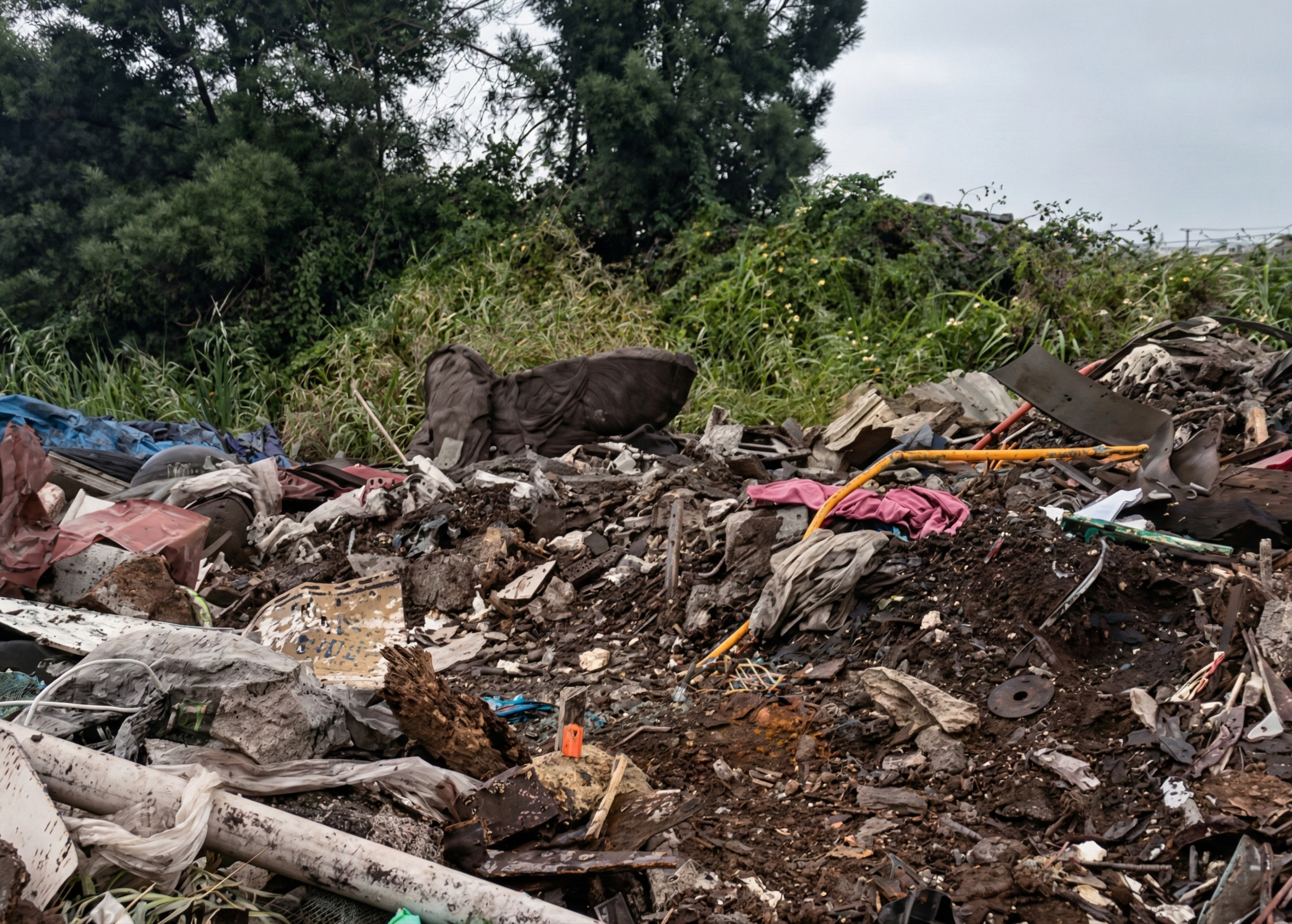 Hallan vertedero clandestino en Las Mulatas y municipio inicia plan de recuperación del humedal