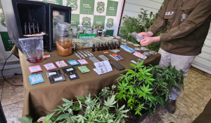 Más de 16 millones en droga y dos detenidos deja operativo del OS7 en sector rural de Lanco