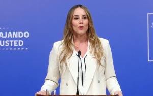 Sedini tras dichos de jueces por caso Lincolao: “La violencia debe ser condenada transversalmente”