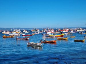 Desembarque pesquero en Los Ríos aumentó 377,3% en febrero de 2026 fomentado por el sector artesanal