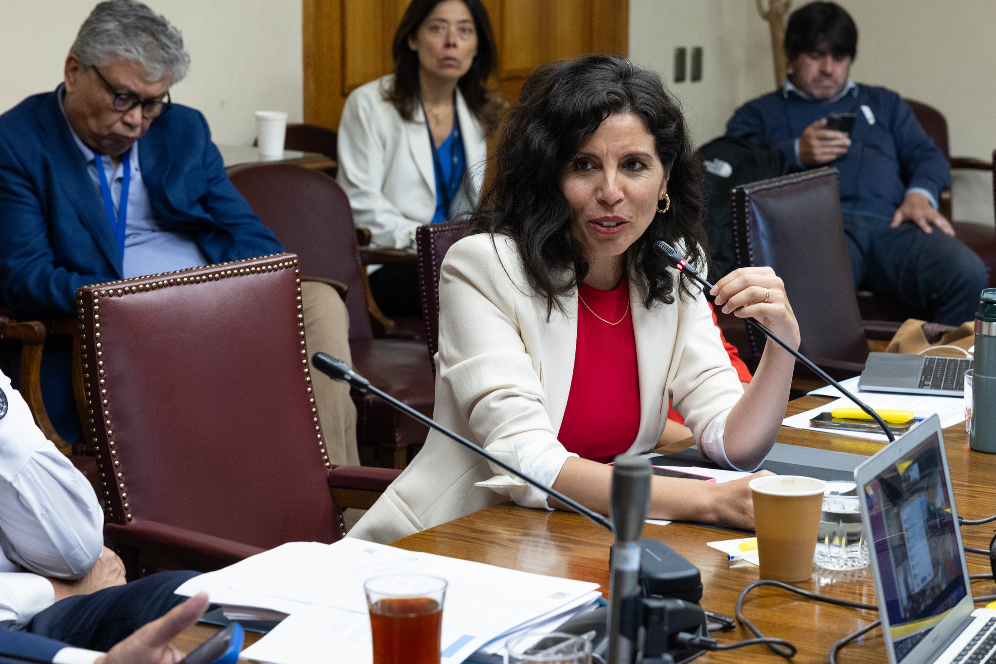 Senadora Gatica pide a Comisión de Hacienda poner en tabla extensión del subsidio eléctrico hasta 2027