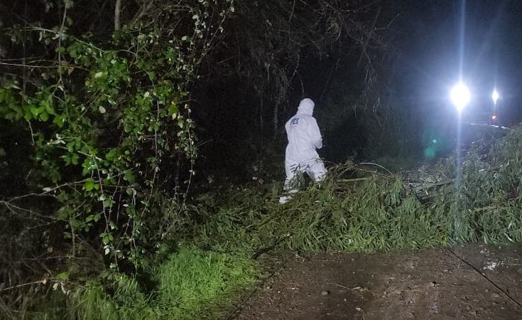 PDI investiga muerte de un hombre tras accidente en labores agrícola