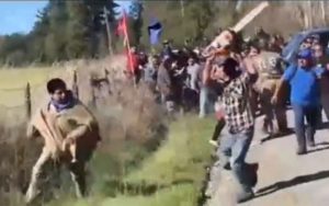 Cortejo de pareja de la machi Millaray Huichalaf termina con cuatro detenidos