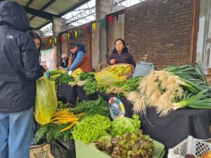 Primer Festival Campesino de Frutos Silvestres llega a Valdivia este 2 y 3 de mayo