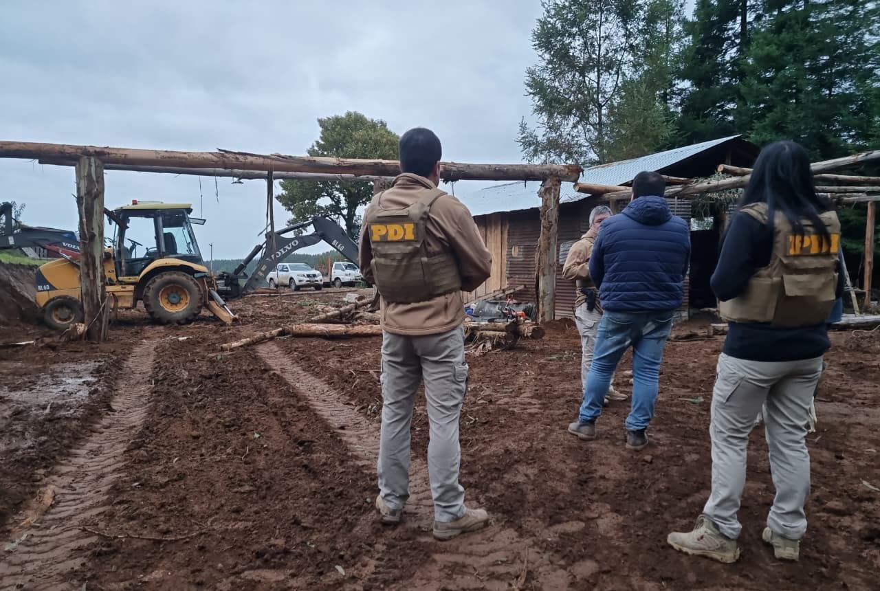 Habían talado más de 40 árboles: Detienen a dos personas por usurpación y sustracción de madera en Mariquina