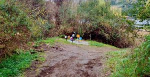 Huyó por la ribera del río Angachilla tras robo en vivienda: Hombre fue capturado con especies avaluadas en $2 millones