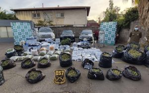 Incautan droga avaluada en más de $5 mil millones en histórica operación liderada desde Los Ríos