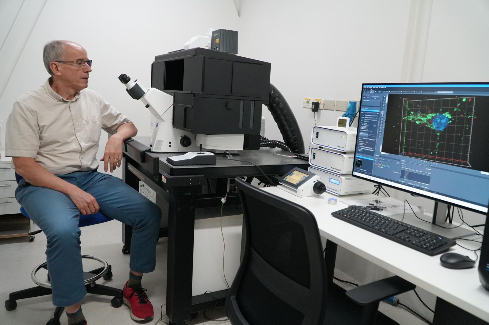 Científicos de Valdivia descubren mecanismo que protege a las neuronas del daño celular