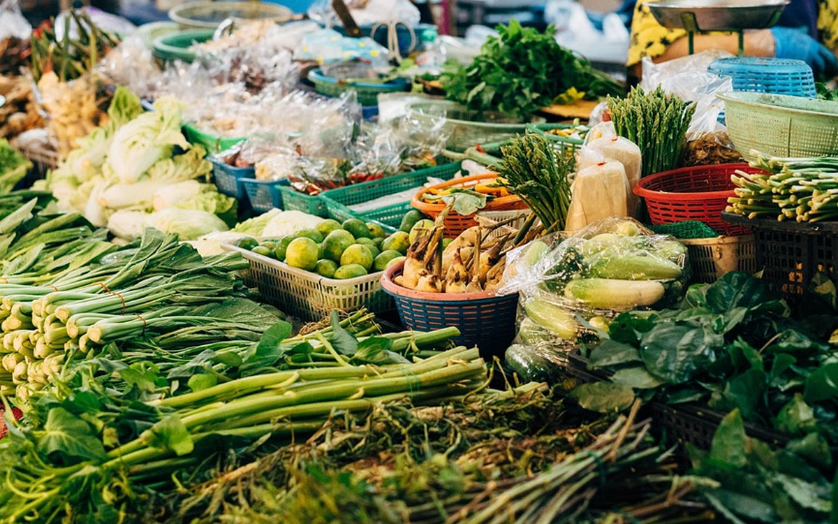 Aprueban más de $184 millones para construir el esperado Mercado Campesino de Lanco