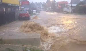 Temporal en Los Ríos dejó 16 damnificados, 34 viviendas dañadas y más de 1.700 clientes sin electricidad