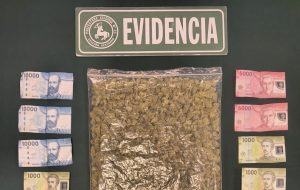 Detienen a hombre con más de 340 gramos de marihuana en la Plaza Pastene de Valdivia