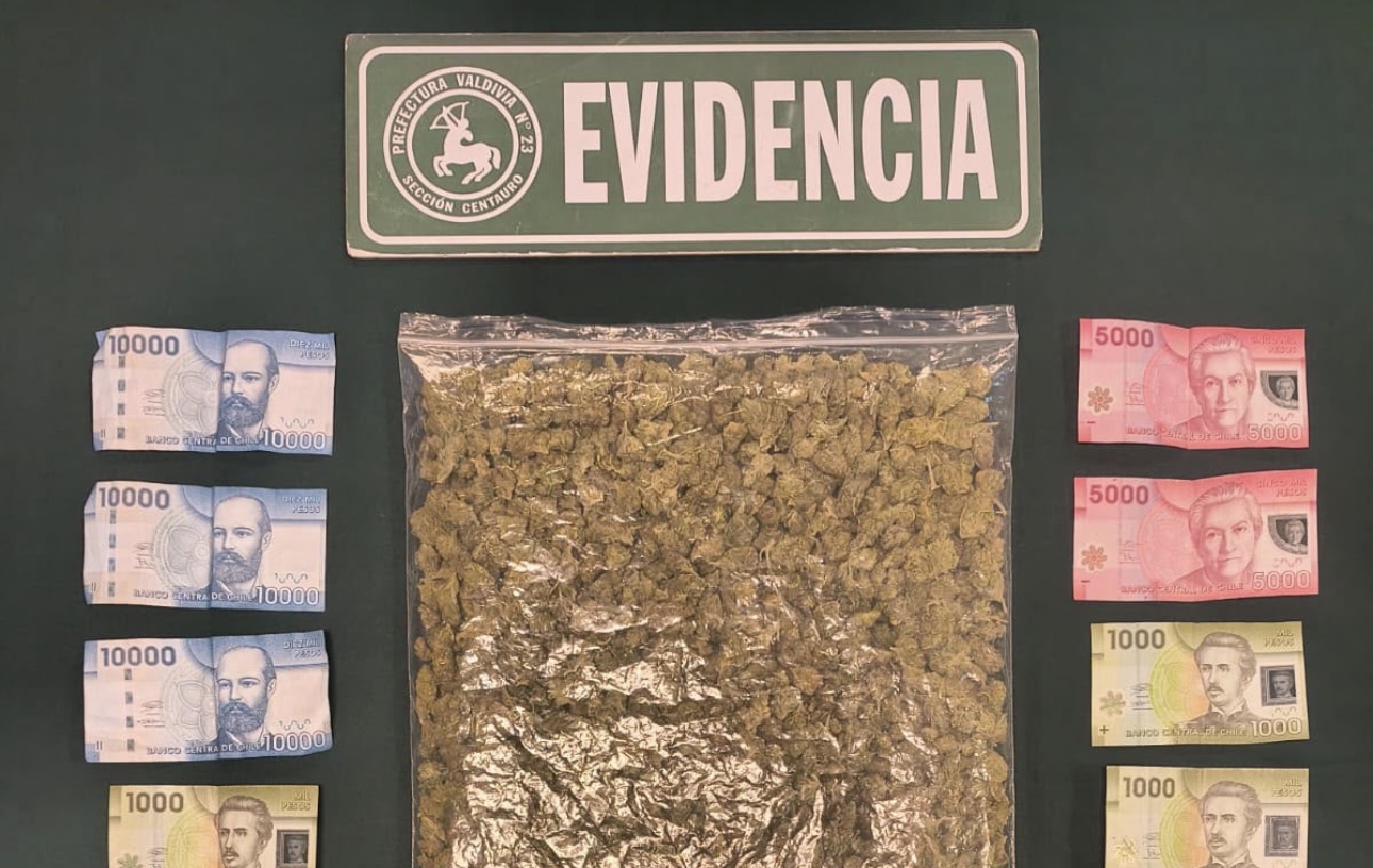 Detienen a hombre con más de 340 gramos de marihuana en la Plaza Pastene de Valdivia