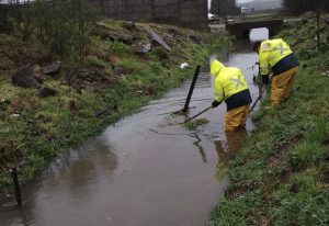 Decretan Alerta Amarilla Regional en Los Ríos por efectos del sistema frontal