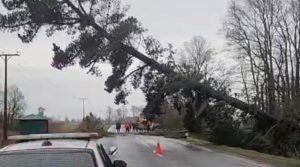 Más de 44 mil personas sin luz y 13 damnificados por intenso temporal en Los Ríos