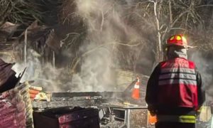 Investigan incendio que dejó tres personas fallecidas en sector rural de Río Bueno