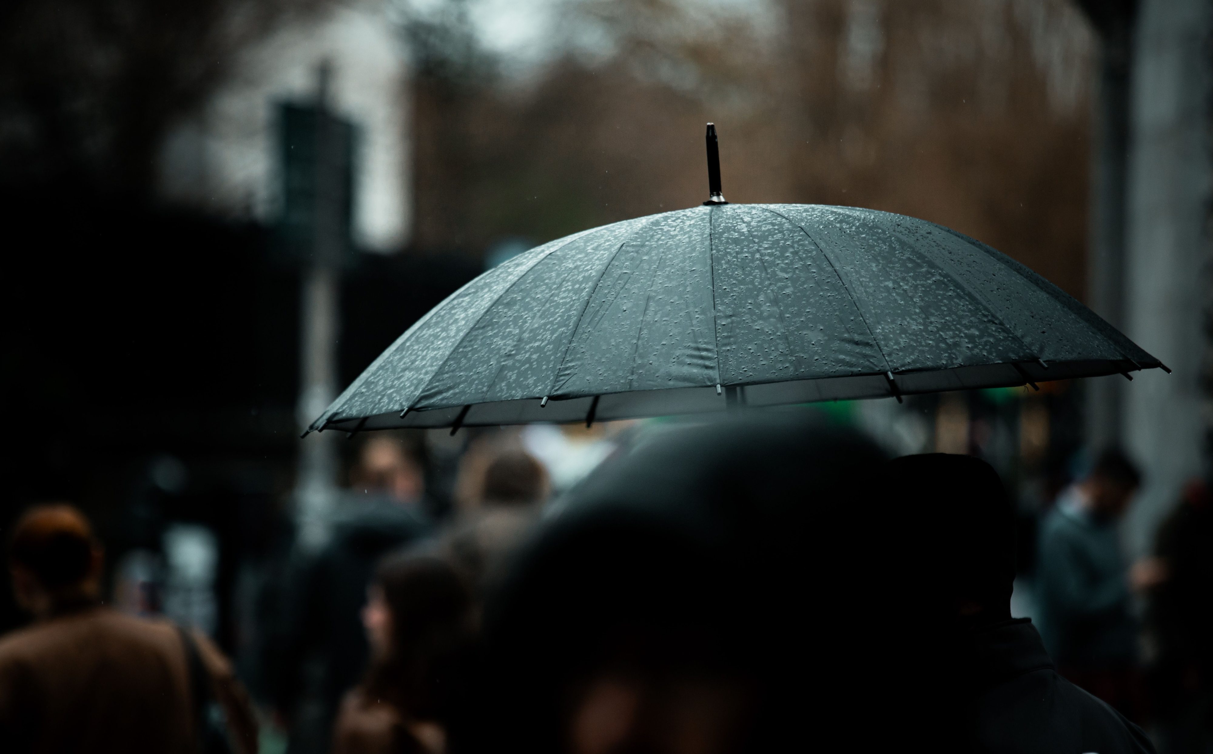 Nuevo sistema frontal ingresará a Los Ríos: Advierten de intensas precipitaciones con isoterma cero alta