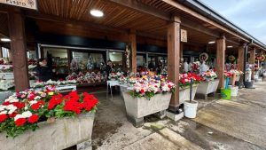 Inauguran renovada Pérgola de las Flores de Valdivia con moderna infraestructura