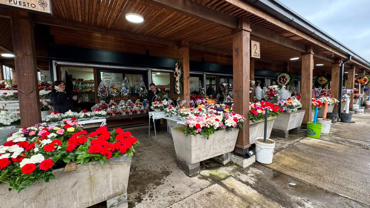 Inauguran renovada Pérgola de las Flores de Valdivia con moderna infraestructura