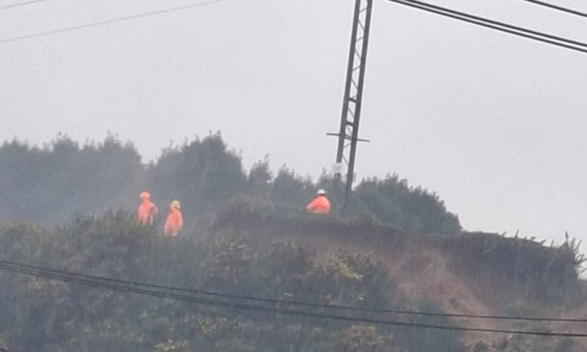 Descartan riesgo de colapso en torre de transmisión de Villa Simón Bolívar en Valdivia