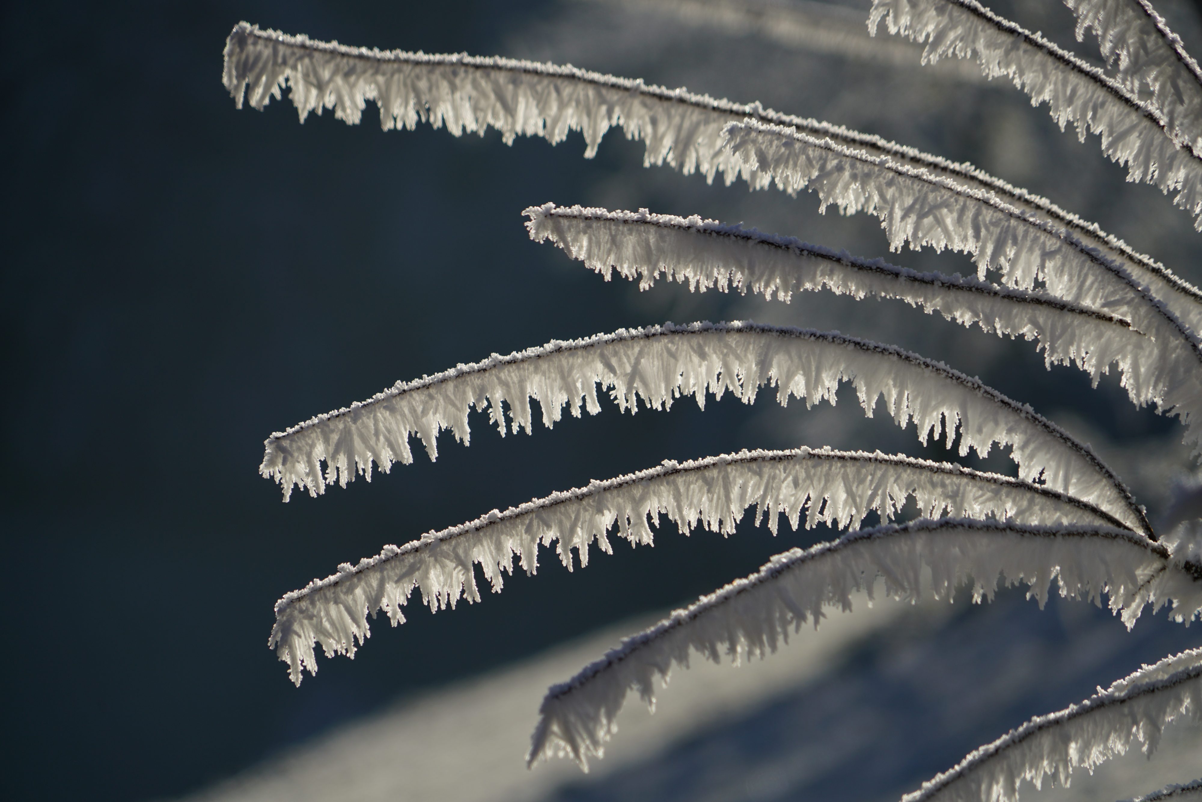 SENAPRED modifica Alerta Temprana Preventiva en Los Ríos por nevadas y fuerte viento