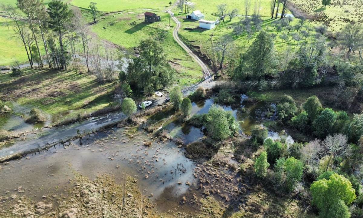 Alcalde de Paillaco exige al Gobierno decretar Emergencia Agrícola por intensas lluvias