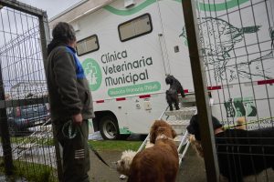 Será más expedito: Implementan call center para agendar consultas en Veterinaria Municipal de Valdivia