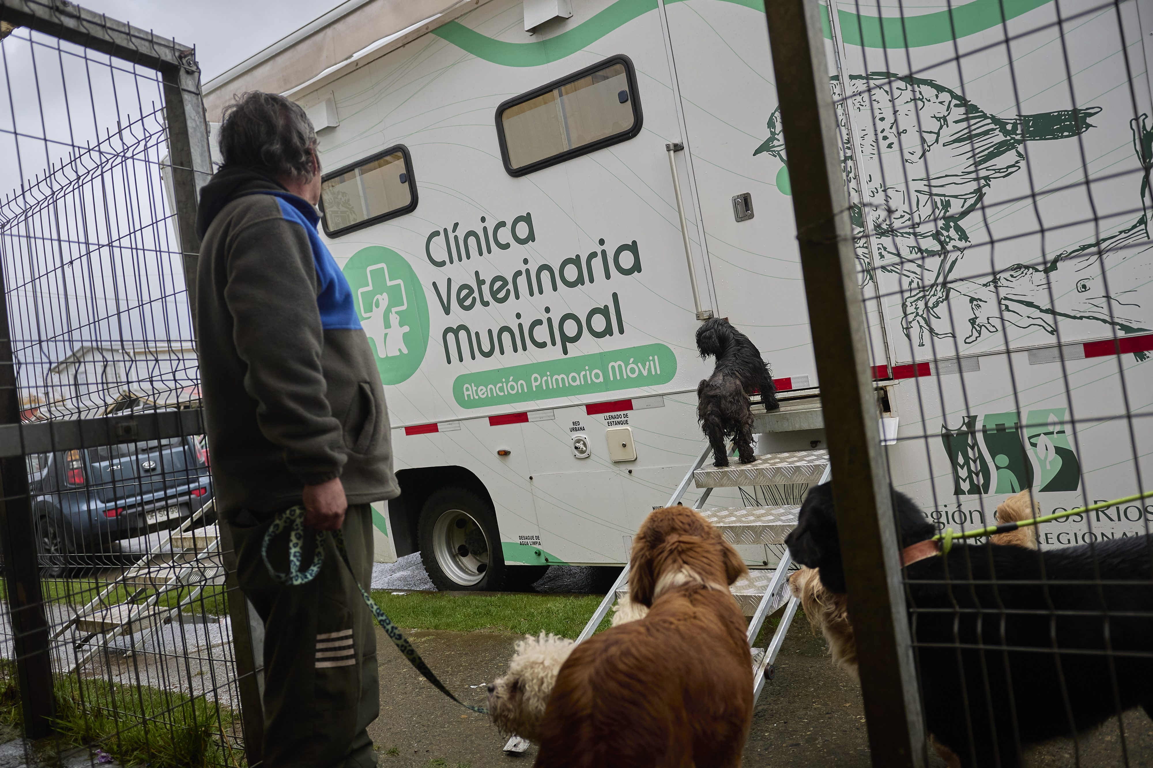 Será más expedito: Implementan call center para agendar consultas en Veterinaria Municipal de Valdivia