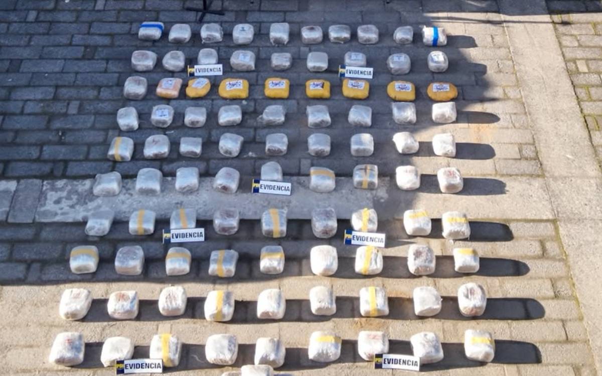 Diez imputados quedan en prisión preventiva tras millonaria incautación de drogas en Valdivia