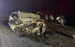 Dos muertos y tres personas en riesgo vital deja accidente en Paillaco