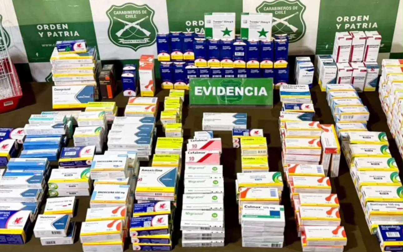 Detienen a mujer en Valdivia por tráfico de fármacos y tenencia de un loro silvestre